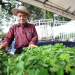 Feria del Agricultor llegará a Villa Canales para acercar productos del campo a la población