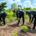 SGAIA, localizó y erradicó 78 mil 128 matas de marihuana. / Foto: PNC