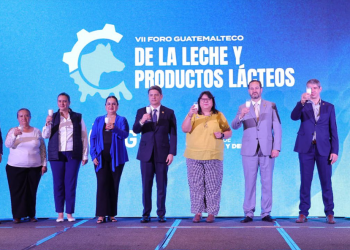 Estas acciones buscan elevar los estándares de producción y contribuir a una mayor competitividad de la industria láctea guatemalteca. / Foto: MAGA