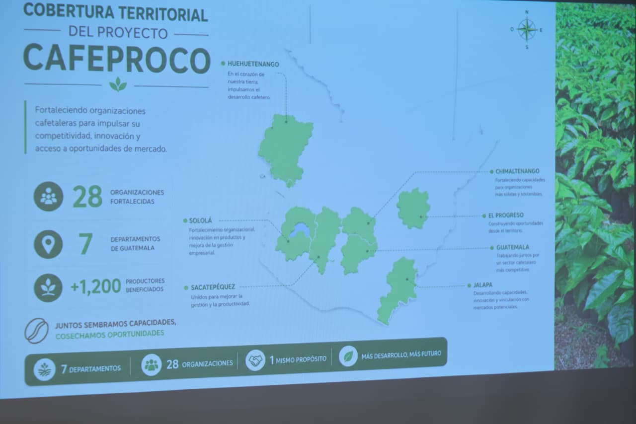 Productores y técnicos participaron en el taller “Experiencias compartidas para fortalecer la cadena de valor del Café en Guatemala”