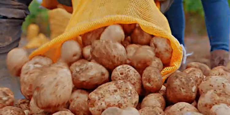 PepsiCo reconoce el trabajo de los agricultores guatemaltecos. (Foto: PepsiCo)