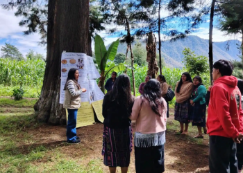 Ministerio de Salud fomenta la atención en salud con pertinencia cultural en San Juan Ostuncalco. (Foto: MSPAS)