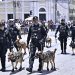 Desfile de la Policía Nacional Civil. / Foto: SCSP archivo