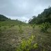 El MAGA reiteró que continuará con el monitoreo de las condiciones climáticas. / Foto: MAGA