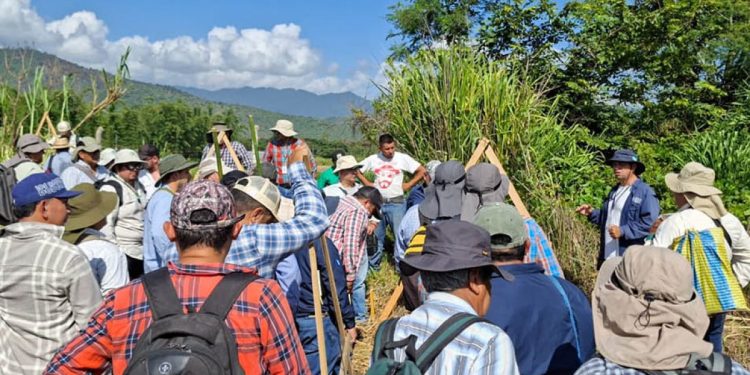 El MAGA continúa fortaleciendo las capacidades técnicas para la conservación de los recursos naturales mediante la capacitación en el sistema Keyline. / Foto: MAGA