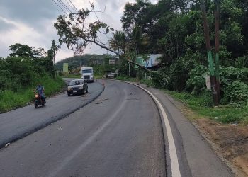 Provial atiende a más de 4 mil 500 usuarios durante la temporada de lluvia