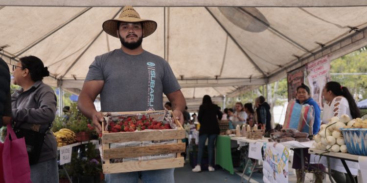 Feria del Agricultor acerca productos del campo a familias de la capital