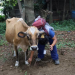 UBA brindó atención veterinaria a comunidades afectadas por la actividad del volcán de Fuego