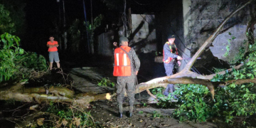 Lluvias han causado más de mil emergencias en el país
