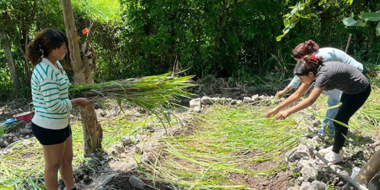 Cader Juveniles, espacios de formación técnica e innovación productiva que buscan acercar a los jóvenes rurales a las actividades agrícolas. / Foto: MAGA