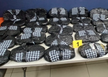 Durante la revisión fueron localizadas 30 bolsas que contenían marihuana. / Foto PNC