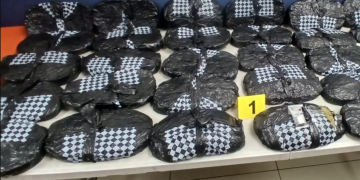 Durante la revisión fueron localizadas 30 bolsas que contenían marihuana. / Foto PNC