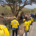 Emergencia en puente Güijo: Maquinaria inicia maniobras para retirar contenedor