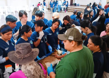 Brindan atención a los animales de compañía durante jornada de salud