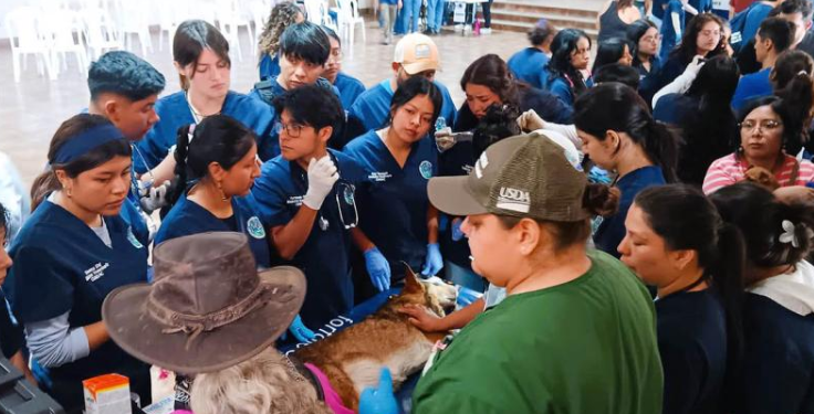 Brindan atención a los animales de compañía durante jornada de salud