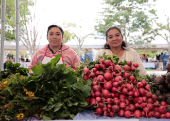 Feria del Agricultor acerca productos del campo a familias de la capital. / Foto: Analí Camey