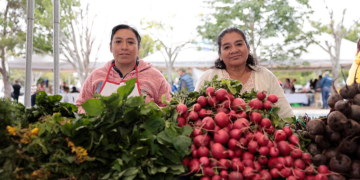 Feria del Agricultor acerca productos del campo a familias de la capital. / Foto: Analí Camey