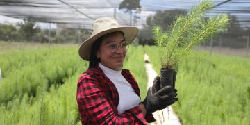 MAGA entrega más 222 mil plantas forestales durante el 2026