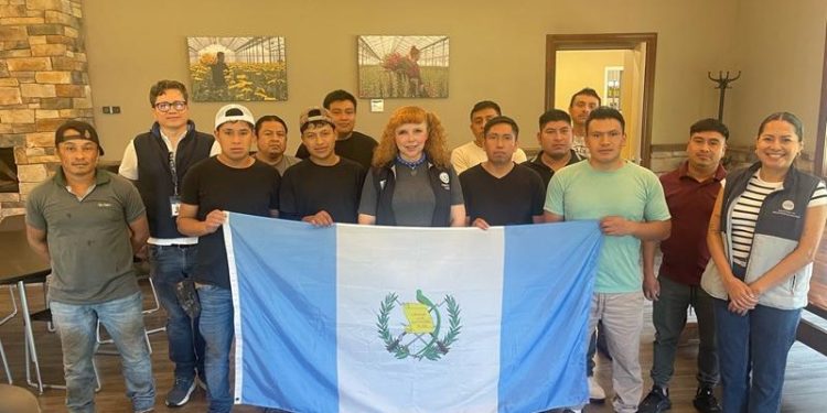 Consulado de Guatemala en Toronto fortalece acompañamiento a trabajadores temporales