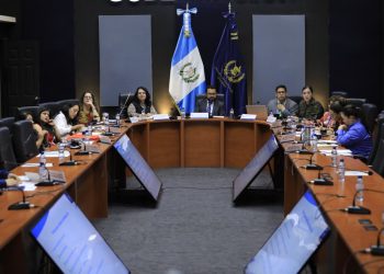 Mingob y Copadeh avanzan en conformación de Consejo para proteger a defensores de los derechos humanos