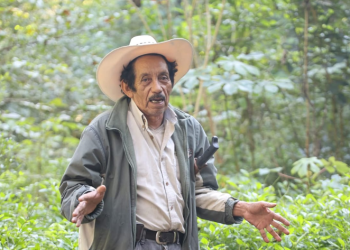 Otorgan mérito en la Conservación de la Gran Selva Maya a Jorge Sosa. (Foto: Conap)