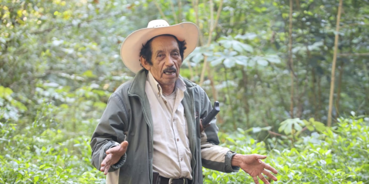 Otorgan mérito en la Conservación de la Gran Selva Maya a Jorge Sosa. (Foto: Conap)