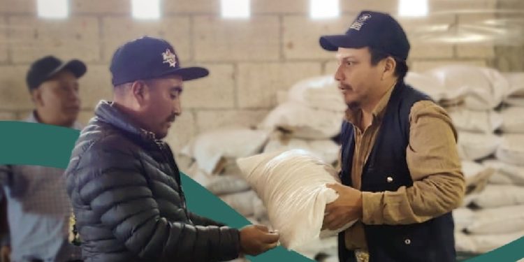 MAGA continúa con acciones dirigidas a fortalecer la seguridad alimentaria. (Foto: MAGA)