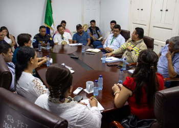 Mesa Técnica da seguimiento a acciones para mejorar el servicio de energía eléctrica en Petén