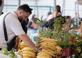 MAGA anuncia nuevas Ferias del Agricultor para septiembre. /Foto: Analí Camey