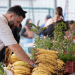 MAGA anuncia nuevas Ferias del Agricultor para septiembre. /Foto: Analí Camey