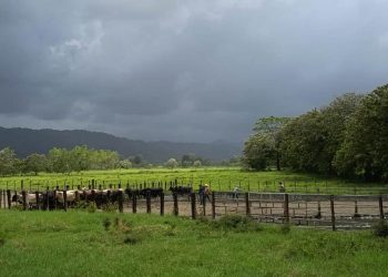 MAGA recomienda medidas preventivas ante calor y lluvias irregulares