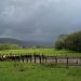 MAGA recomienda medidas preventivas ante calor y lluvias irregulares