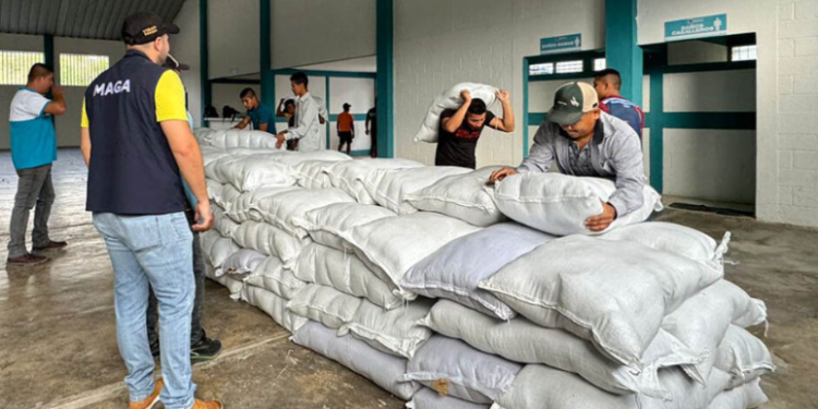 MAGA refuerza la seguridad alimentaria y protege la producción frente al cambio climático