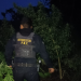 Fueron encontradas 33 mil 184 matas de marihuana en fase de aprovechamiento. / Foto: PNC
