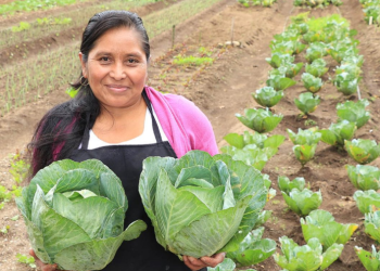 MAGA destaca el papel de los agricultores en el desarrollo rural en el Día Mundial de la Agricultura