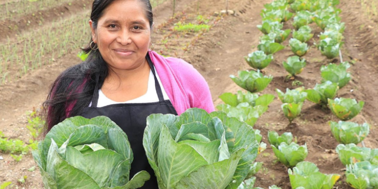 MAGA destaca el papel de los agricultores en el desarrollo rural en el Día Mundial de la Agricultura