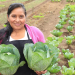 MAGA destaca el papel de los agricultores en el desarrollo rural en el Día Mundial de la Agricultura