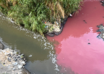 Coloración rosada en el río Las Vacas./Foto: Edwin Castellanos.