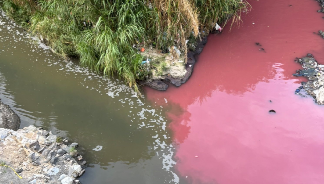 Coloración rosada en el río Las Vacas./Foto: Edwin Castellanos.