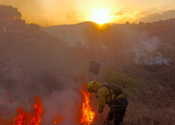 Casi 39 mil hectáreas han sido afectadas por incendios./Foto: archivo.