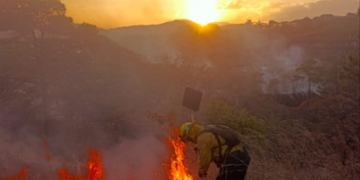 Casi 39 mil hectáreas han sido afectadas por incendios./Foto: archivo.