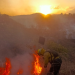 Casi 39 mil hectáreas han sido afectadas por incendios./Foto: archivo.