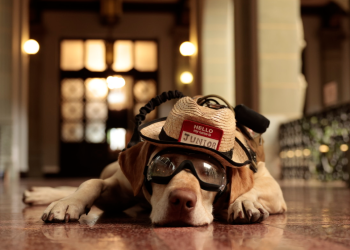 Junior, el perro rescatista que visitó el Palacio Nacional de la Cultura./Foto: Noé Pérez.