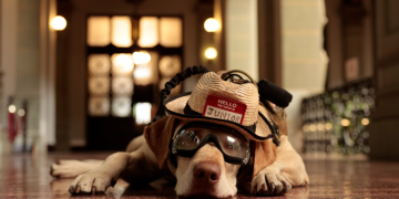Junior, el perro rescatista que visitó el Palacio Nacional de la Cultura./Foto: Noé Pérez.