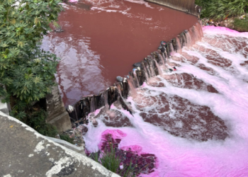 Coloración rosada en el río Las Vacas./Foto: Edwin Castellanos.