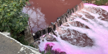 Coloración rosada en el río Las Vacas./Foto: Edwin Castellanos.