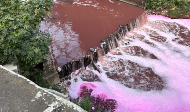 Coloración rosada en el río Las Vacas./Foto: Edwin Castellanos.