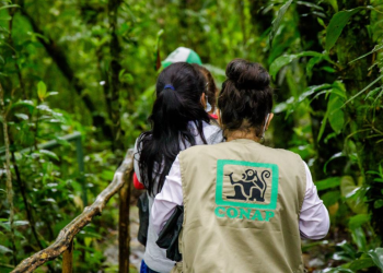 Los guardarrecursos ,los protectores de la naturaleza en Guatemala