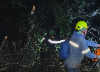 Conred reporta más de mil emergencias atendidas hasta este jueves 24 de septiembre. / Foto: Conred