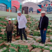 Entregan materiales para mejorar camino rural de comunidades en occidente. (Foto: CIV)